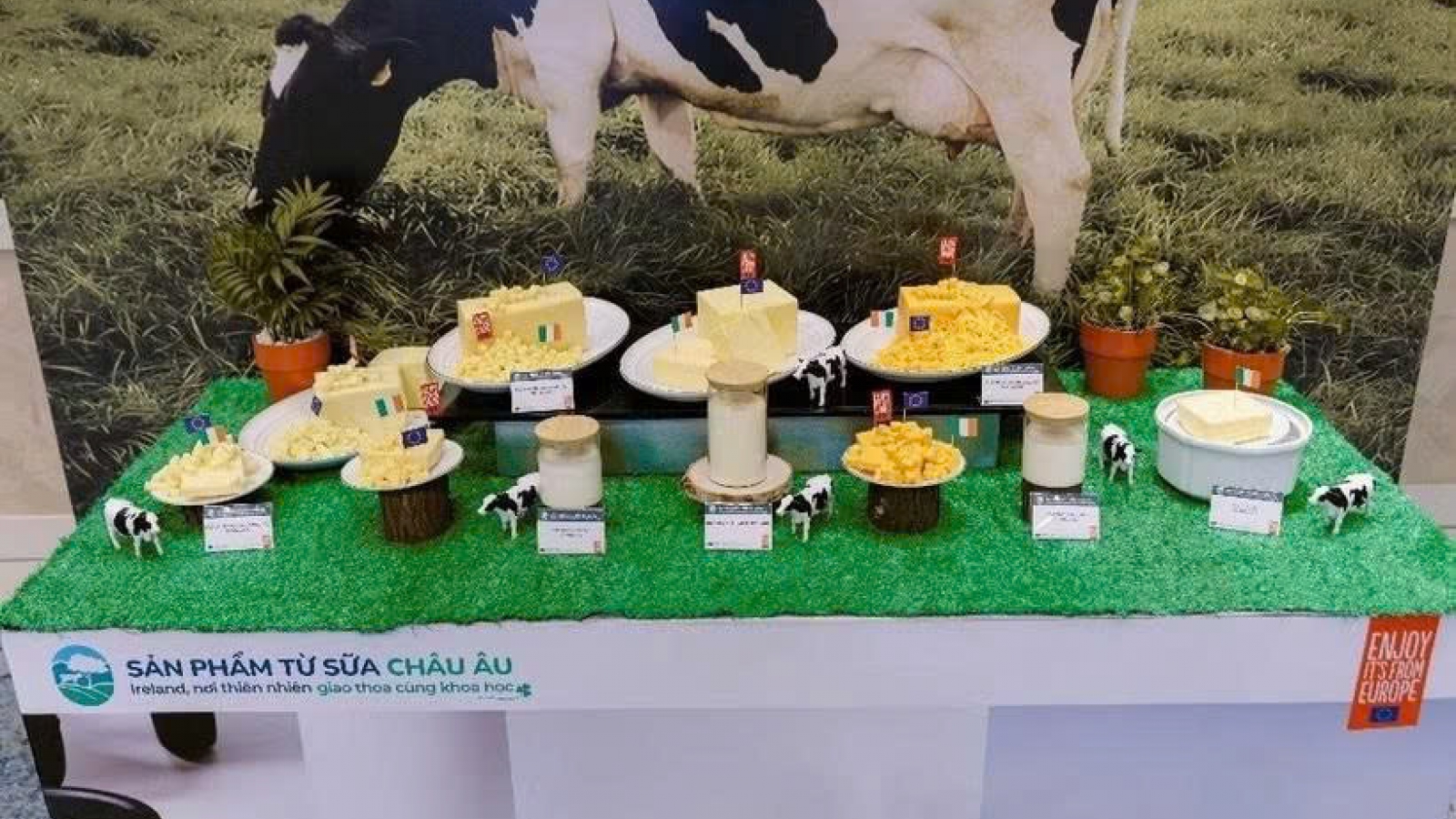Ireland steps up dairy trade promotion in Vietnam